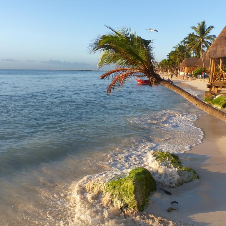 Lilas Del Mar Apartments Playa del Carmen Kültér fotó
